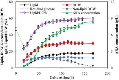 An Online Respiratory Quotient-Feedback Strategy of Feeding Yeast Extract for Efficient Arachidonic Acid Production by Mortierella alpina